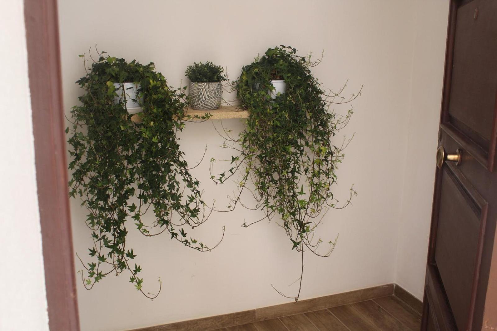 Annale Apartment Marsala Luaran gambar